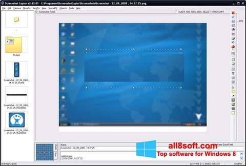 स्क्रीनशॉट ScreenShot Windows 8