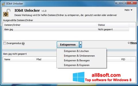 स्क्रीनशॉट IObit Unlocker Windows 8