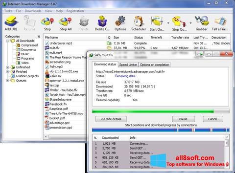 स्क्रीनशॉट Internet Download Manager Windows 8