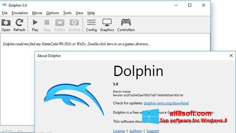 स्क्रीनशॉट Dolphin Windows 8