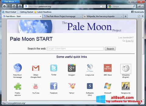 स्क्रीनशॉट Pale Moon Windows 8
