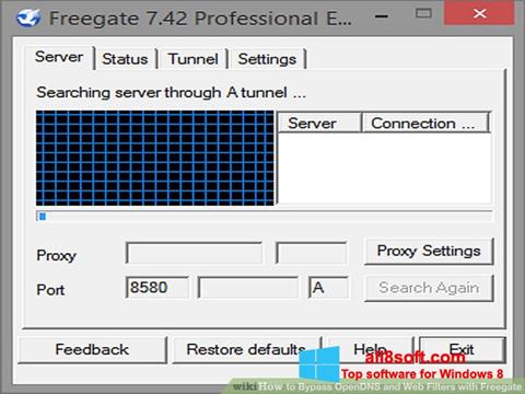स्क्रीनशॉट Freegate Windows 8