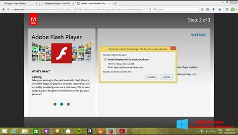 स्क्रीनशॉट Adobe Flash Player Windows 8