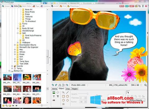 स्क्रीनशॉट PhotoScape Windows 8